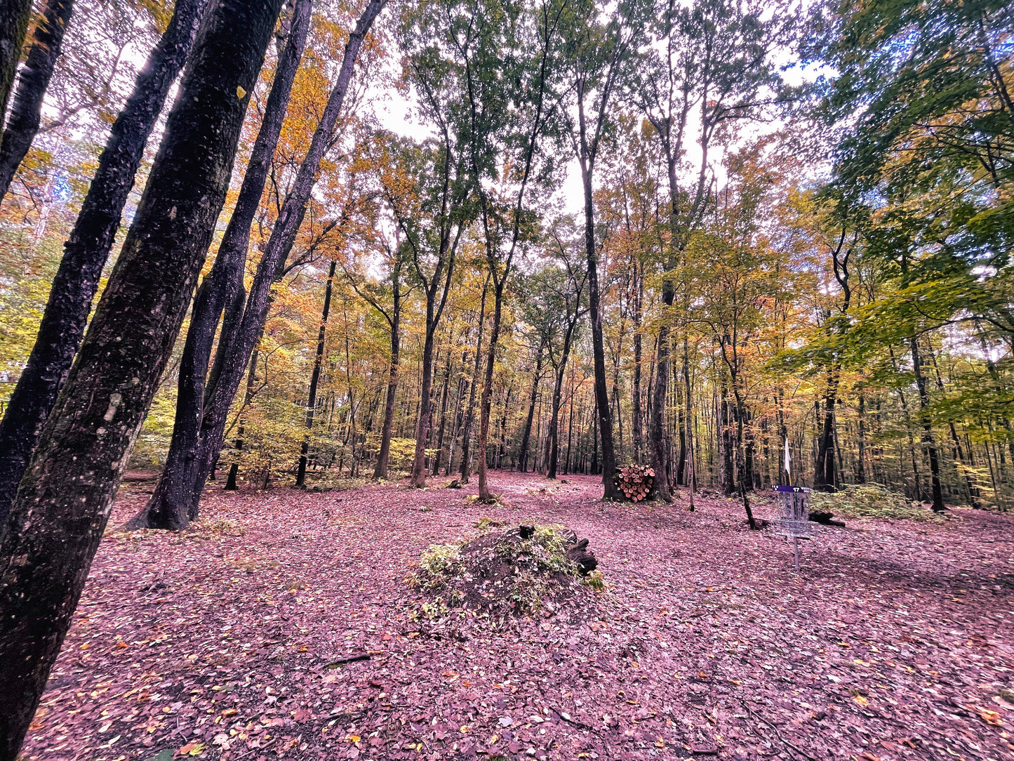 Hole Sponsorship Donation 2026